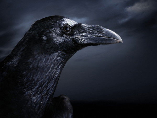 -=Иван=- Данилин