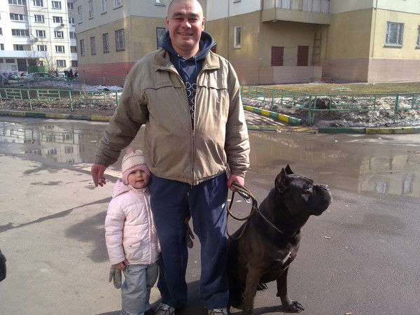 Геннадий Маслов