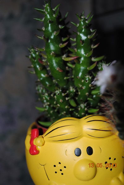 Илсияр Людинчин