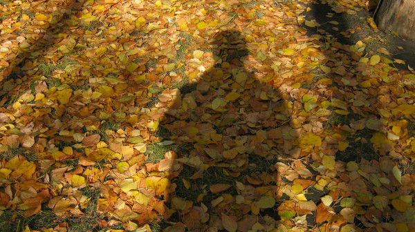 Павел Овчинников