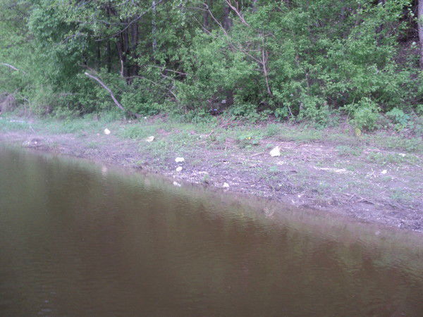 Ольга Хитрова