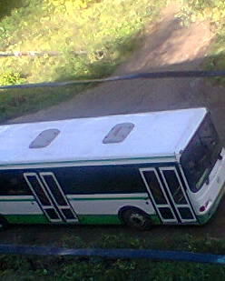 Наталья Сушко