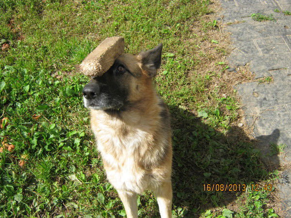 Ксения Бычкова