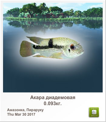 Irca ≈≈≈ ⋖⋙⋞