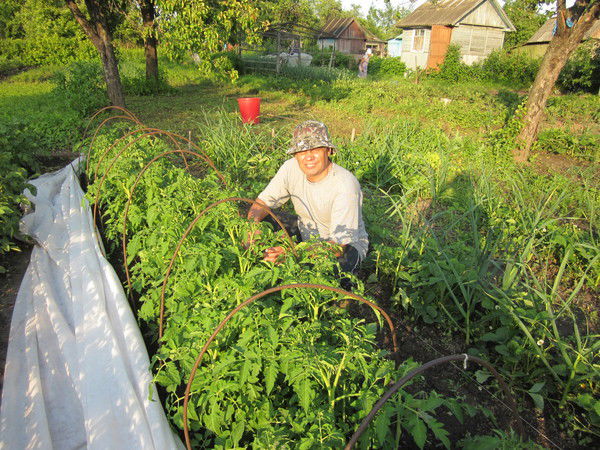 Александр Курбатов