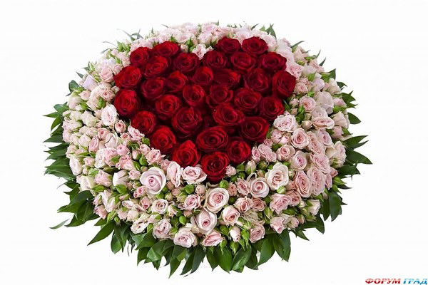 Алиюша Бахриденова