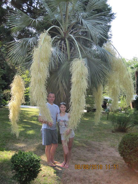 Людмила Шульгина