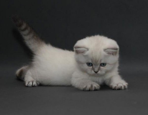 Карина Кусембекова