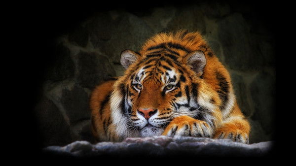 Ігор Осадченко