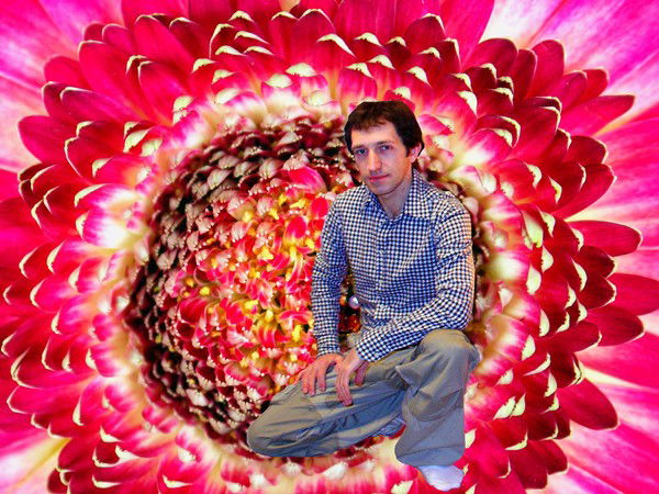 Romaschka Besimjannyj