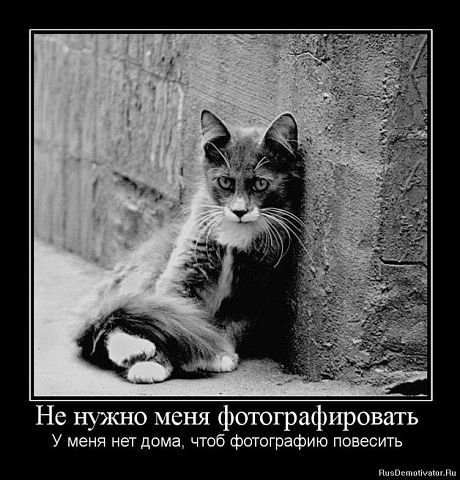 Ирина Антюхова