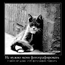 Ирина Антюхова