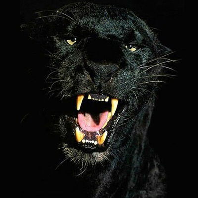 Адиль Нубаев