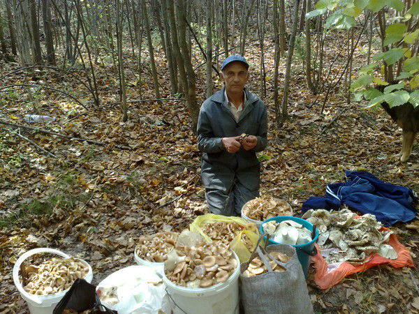 Юрий Портов