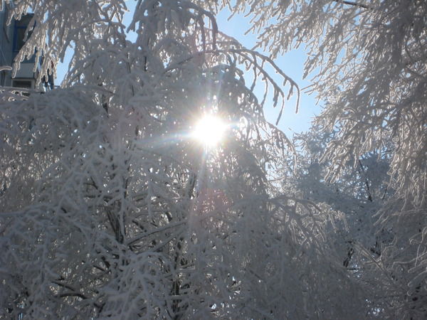 Светлана Хрущева