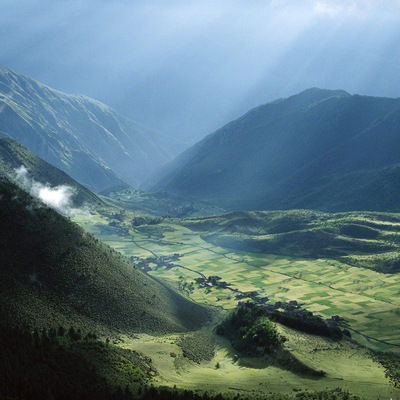 Елена Гоферберг