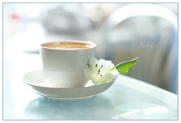 Татьяна Рыбина