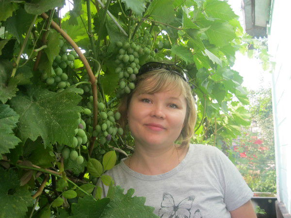 Светлана Широкова