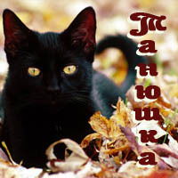 Татьяна Евдокимова