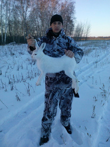 Владимир Глик