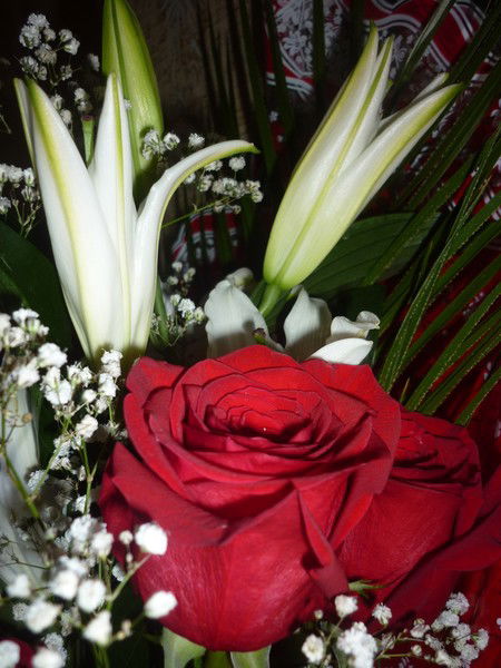 Наталья Филяева