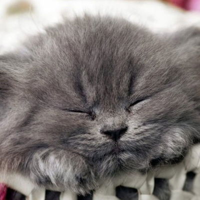 Лунина Алена