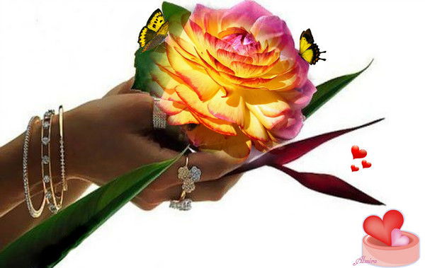 Милана Дунай