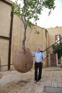 Анатолий Мельник