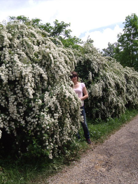 Ирина Нечаева