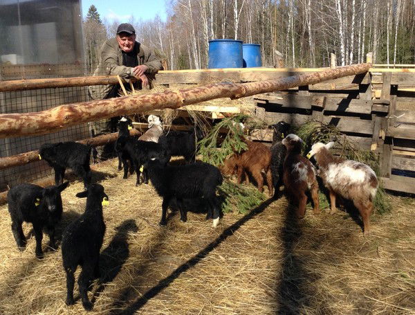 Александр Сизоненко