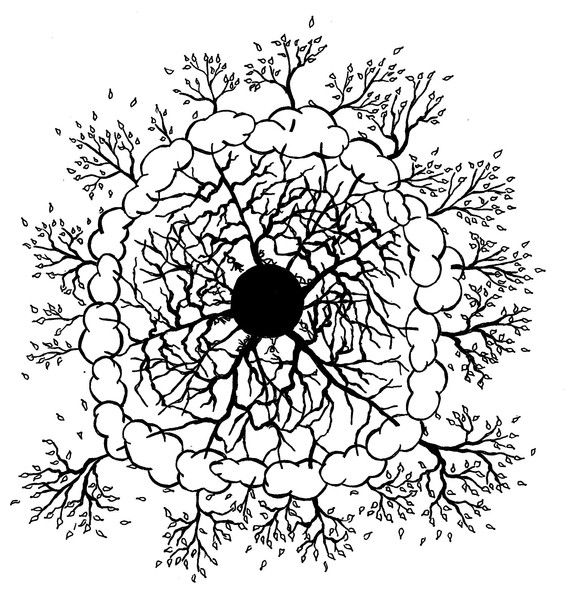 Алёна Кирилко