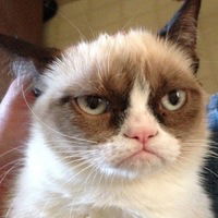 Ирек Мустафин