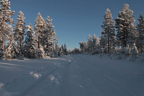 Денис Ганжела