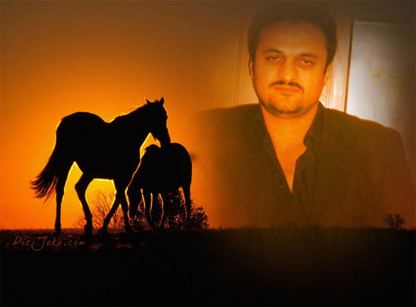 эльдар сеид