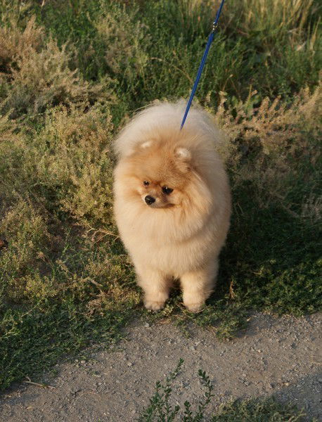 Галина Салаватова