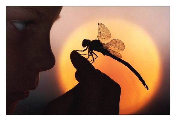 Владислав Киреев