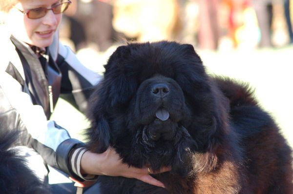 Олеся Ворфоломеева