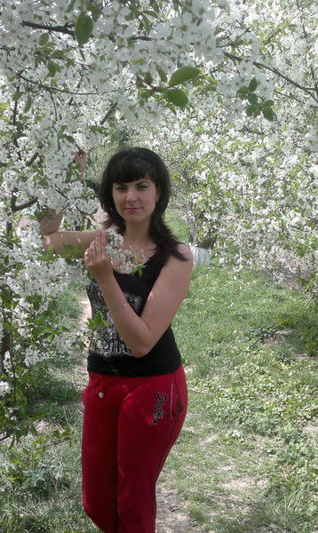 Алла Коцемир