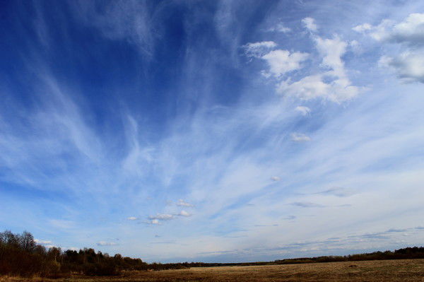 Алекс Ковалев