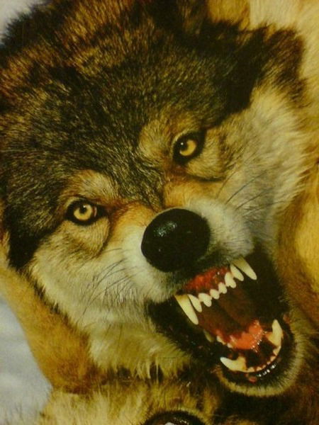 Эдуард Гусев