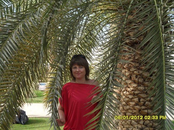 Татьяна Николаева