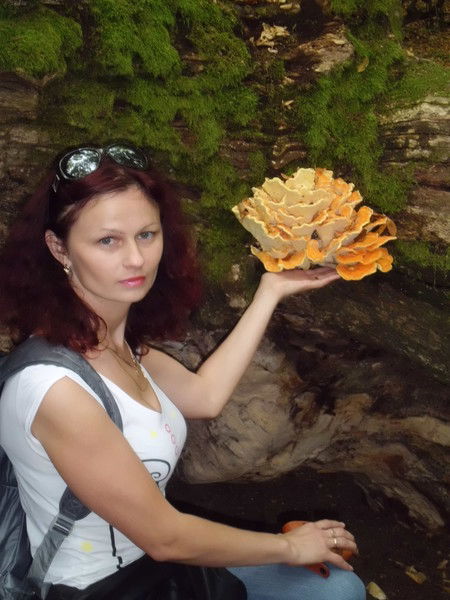 Алена Василенко