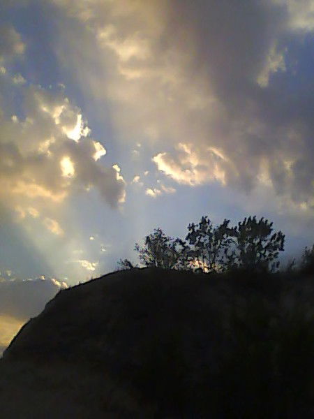 Сергей Матвиенко