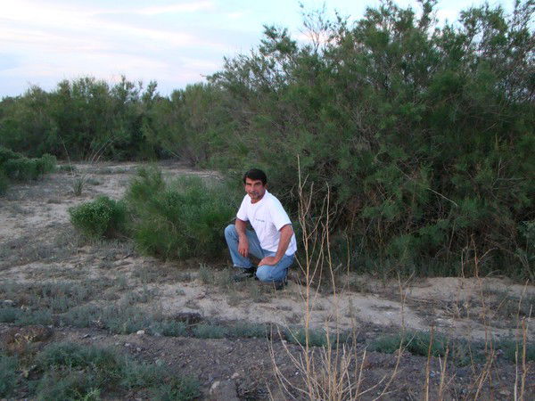 Сергей Самсонов