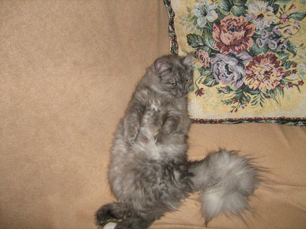 Элеонора Экгардт