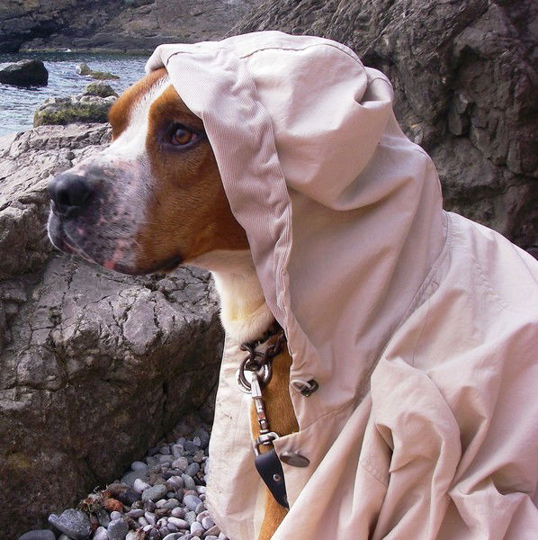 Галина Бориско