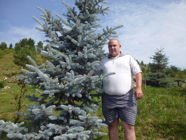 Константин Далингер