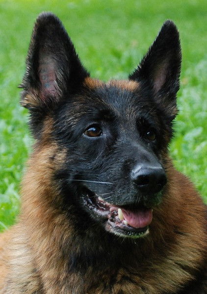 Оля Толстоброва