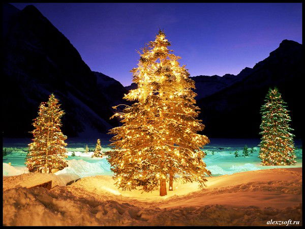 Нургуль Утепбергенова