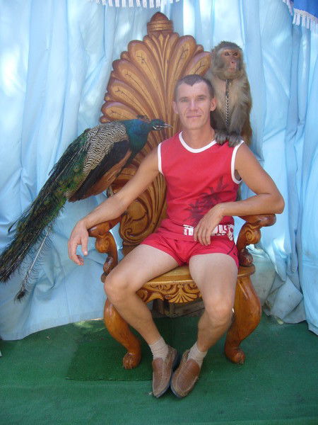 Алексей Морозов